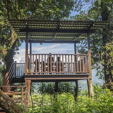 "Hana'S Celeste Retreat" Large Modern Villa Sleeps 6 On 20 Acres Of Nature! 比加瓜 外观 照片